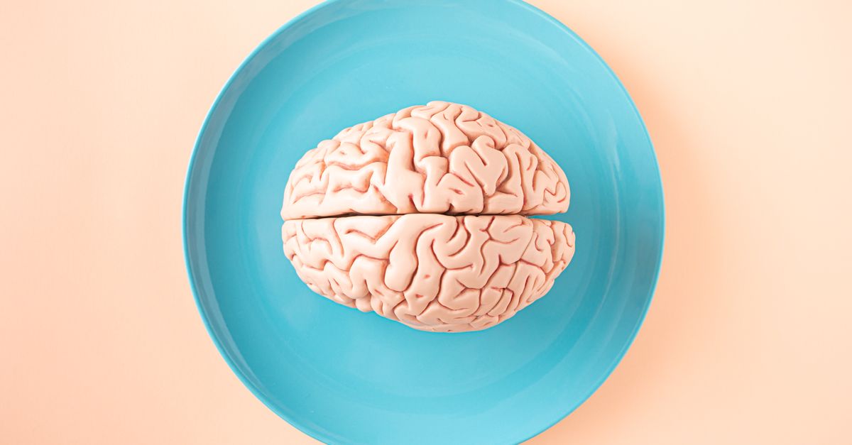 Il miracolo del cervello umano
