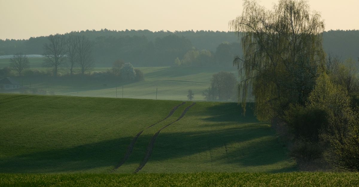 Perché l'equinozio di primavera non cade sempre il 21 marzo?