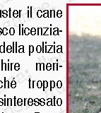 Derubata della borsa, contratta col ladro via sms