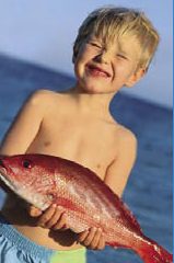 Perché il pesce puzza?