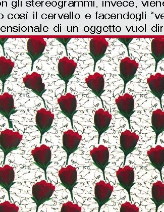 Riuscite a visualizzare gli stereogrammi?