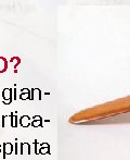 Perché il boomerang torna indietro?