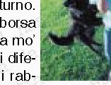 GERMANIA - Postini a scuola di psicologia canina