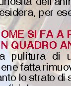 Come fanno a parlare i pappagalli?