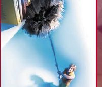 Perché la polvere di casa è grigia?