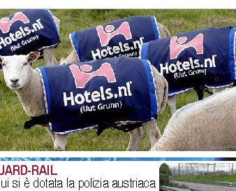 Nuova frontiera della pubblicità: direttamente sugli animali che pascolano