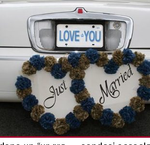 Un romantico viaggio di nozze