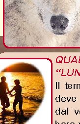 Perché si dice in bocca al lupo?