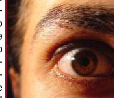 A cosa servono le sopracciglia?
