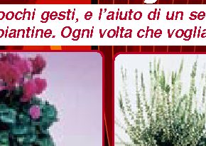 Un vaso per tutte le stagioni