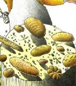 Pane e Olio in Frantoio