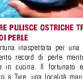 Mentre pulisce ostriche trova tesoro di perle