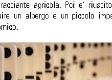 Olanda: domino da record mondo, cadute 4,3 mln tessere