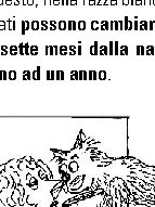 Perché i gatti svegliano i padroni all'alba?