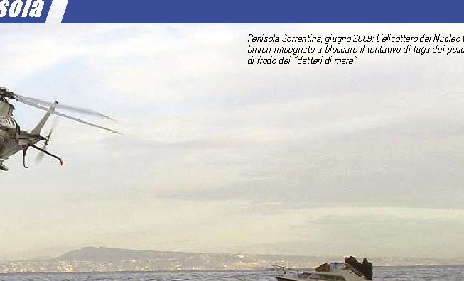 Datteri di mare? no grazie!