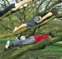 Foto "Facebook Lying Down Game"