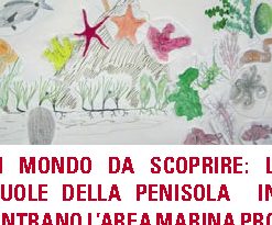 Un mondo da scoprire: le scuole della Penisola incontrano l'Area Marina Protetta Punta Campanella