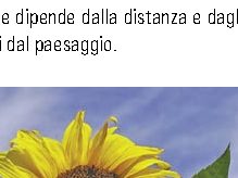 L'aspirina prolunga la vita di un fiore?