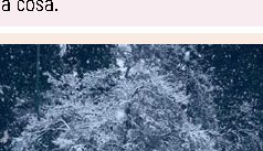 Perché c'è silenzio dopo una nevicata?