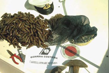 La pesca che massacra il nostro mare