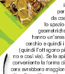 I favi delle api sono fatti di celle esagonali?