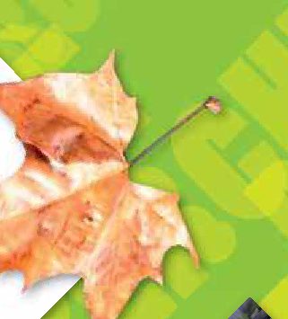 Che significa "mangiare la foglia"?