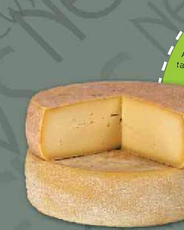 New York, formaggio prodotto con latte umano
