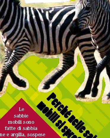 Perché la zebra ha le strisce?