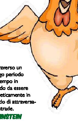 La metafora del pollo