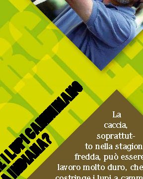 Perché il cinema è definito "la settima arte"?