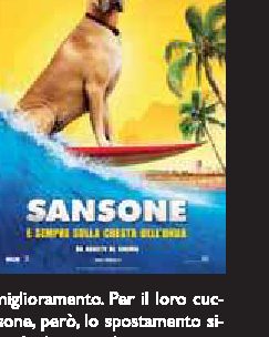 Sansone