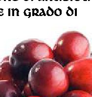 Medicina: esiste un prodotto naturale per evitare le recidive da cistite?