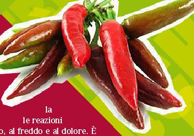Perché il peperoncino "brucia" e la menta è "fredda"?