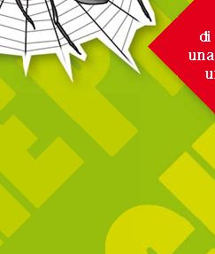Perché le ragnatele intrappolano gli insetti ma non i ragni?