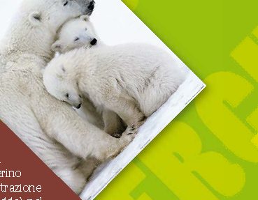 Come fanno alcuni animali a non congelare a temperature bassissime?