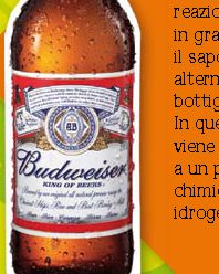 Perché la birra in genere è venduta in bottiglie scure?