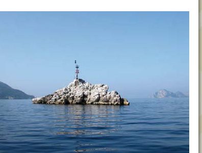 Vervece, allarme per la pesca di frodo