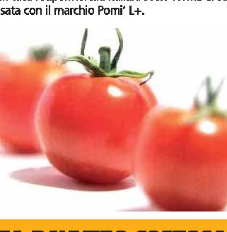 Ecco superpomodoro anti-invecchiamento