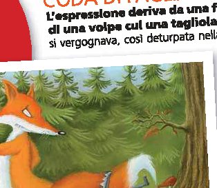 Perché si dice "avere la coda di paglia"?