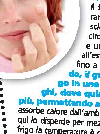 Chi ha inventato le lenti a contatto?