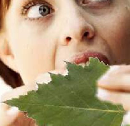 Che significa "mangiare la foglia"?
