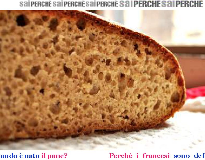 Quando è nato il pane?