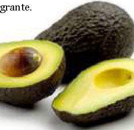 Da cosa deriva la parola avocado?