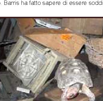 Ritrovano tartaruga in casa dopo 30 anni
