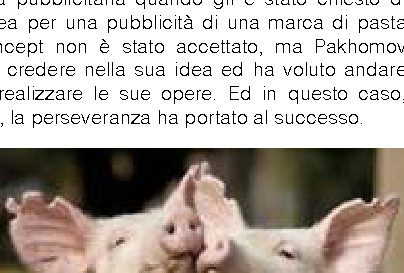 Maiali allevati con la marijuana