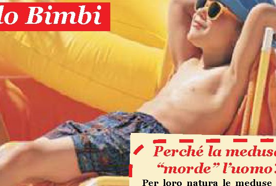 Attenti alle meduse!