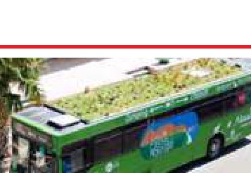 In Spagna autobus con giardino sul tetto