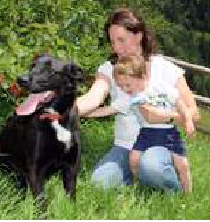 Accarezzare un cane rafforza il sistema immunitario