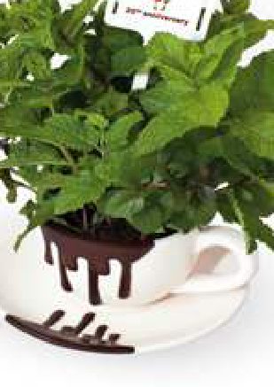 Eurochocolate 2013: si parte il 18 ottobre