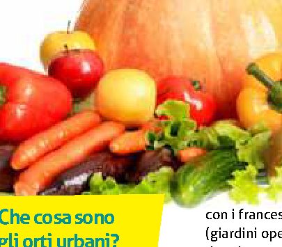 Che cosa sono gli orti urbani?